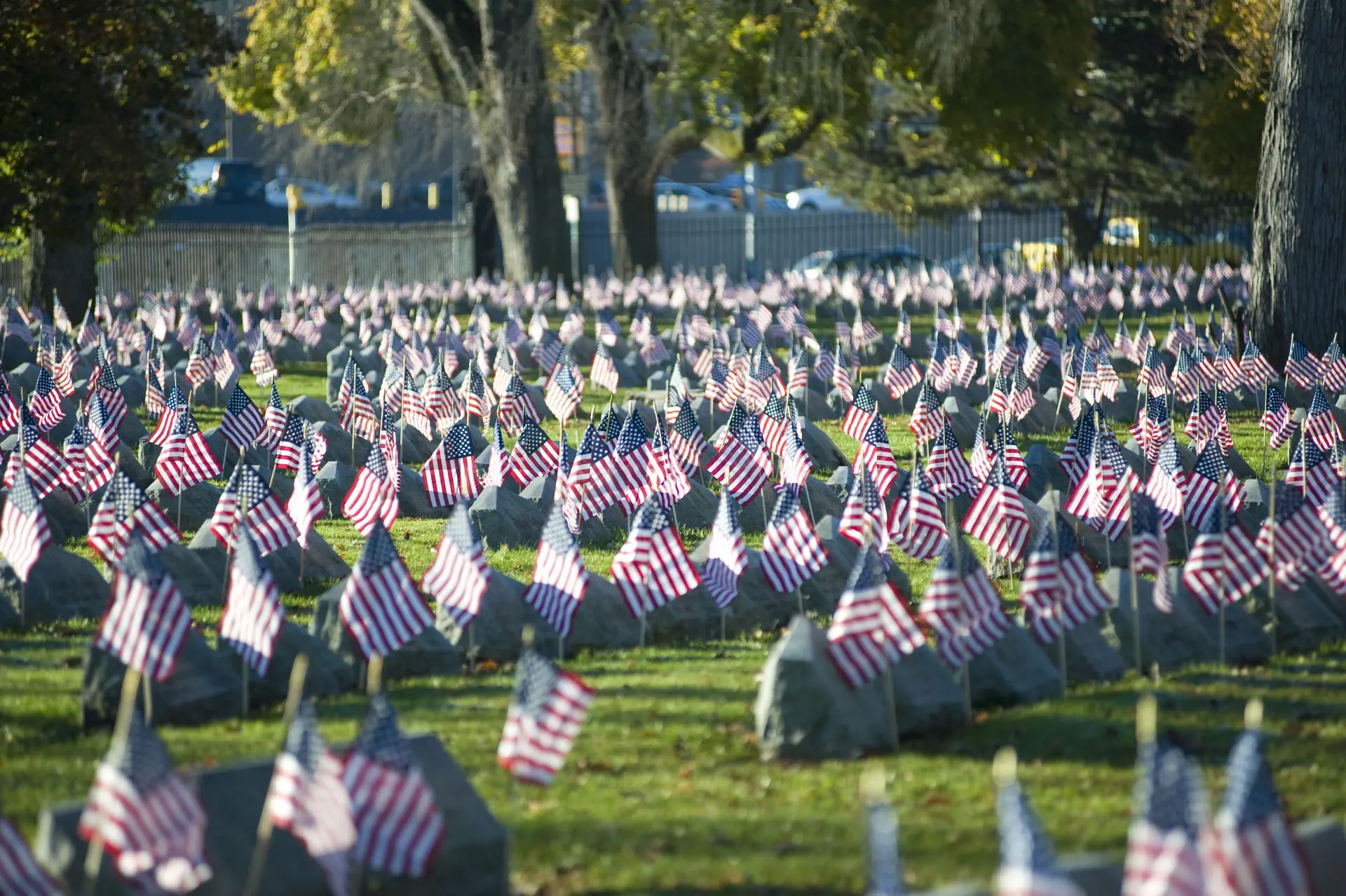 Veterans day freebies seattle