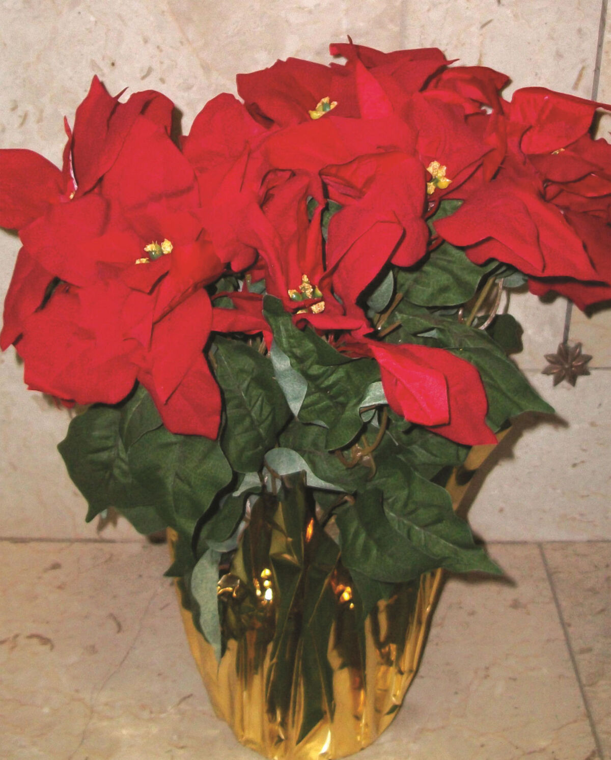 Silk Red Poinsettia Plant Forest Lawn